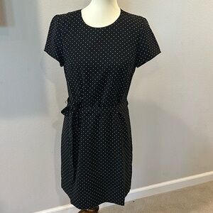 JCrew dress
